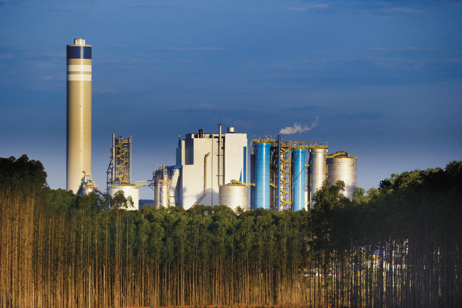 Unidade da Suzano em Três Lagoas (MS) completa 10 anos com recordes em produção e investimento social