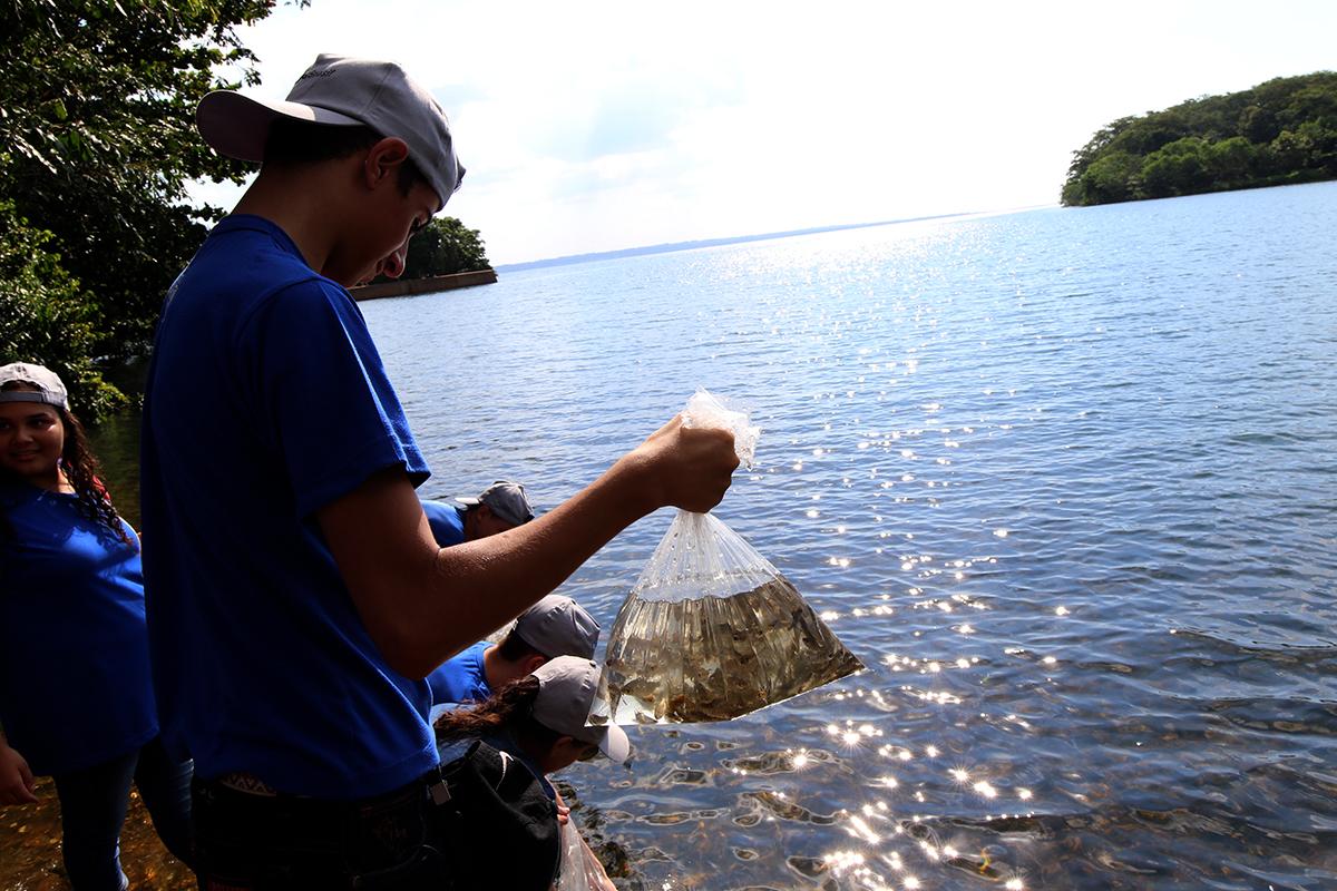 Alunos da Escola Municipal “Maria Eulália Vieira” de Três Lagoas participam de soltura de 120 mil alevinos na Vila dos Operadores