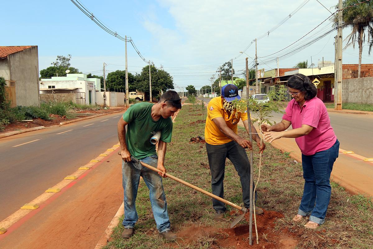 Avenida Milton Damasceno recebe plantio de árvores pelo Projeto “Áreas Mais Verdes”  Avenida Milton Damasceno recebe plantio de árvores pelo Projeto “Áreas Mais Verdes”