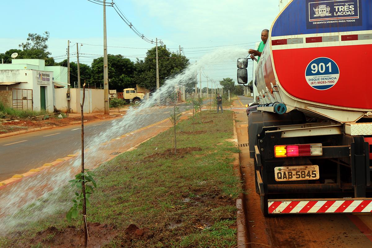 Avenida Milton Damasceno recebe plantio de árvores pelo Projeto “Áreas Mais Verdes”  Avenida Milton Damasceno recebe plantio de árvores pelo Projeto “Áreas Mais Verdes”