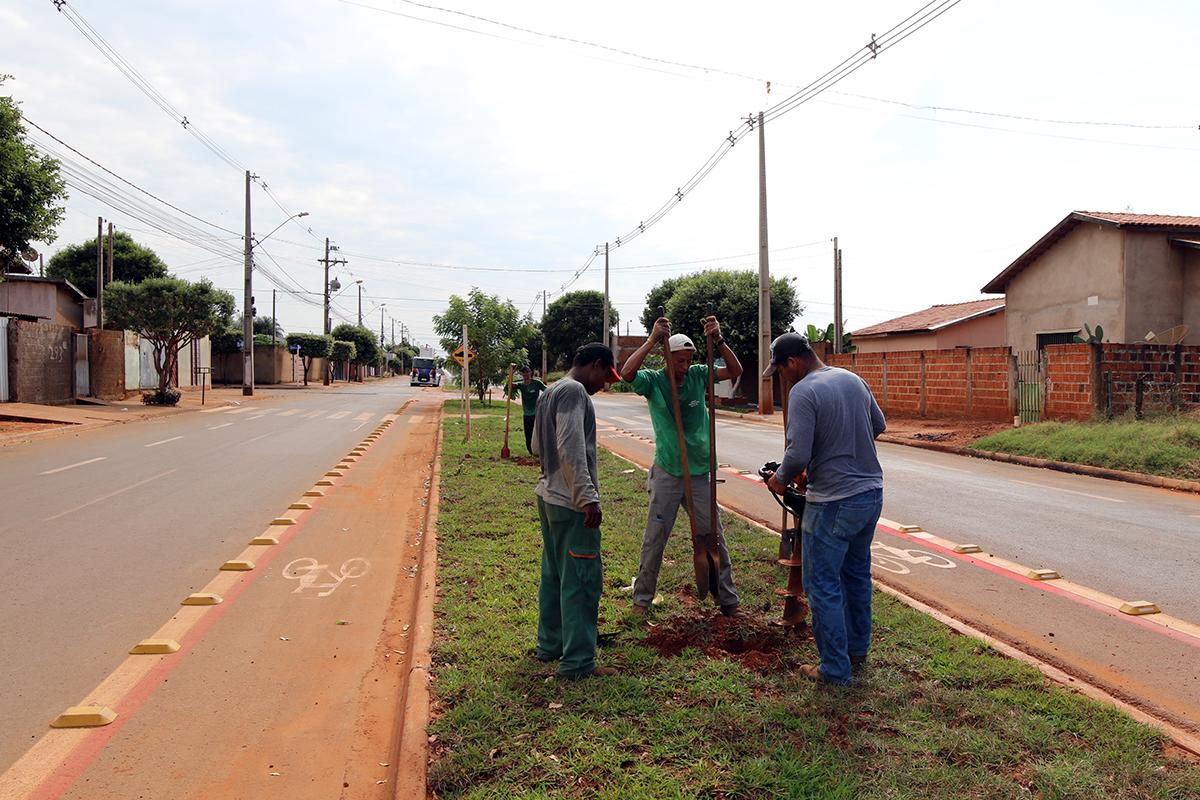 Avenida Milton Damasceno recebe plantio de árvores pelo Projeto “Áreas Mais Verdes”  Avenida Milton Damasceno recebe plantio de árvores pelo Projeto “Áreas Mais Verdes”