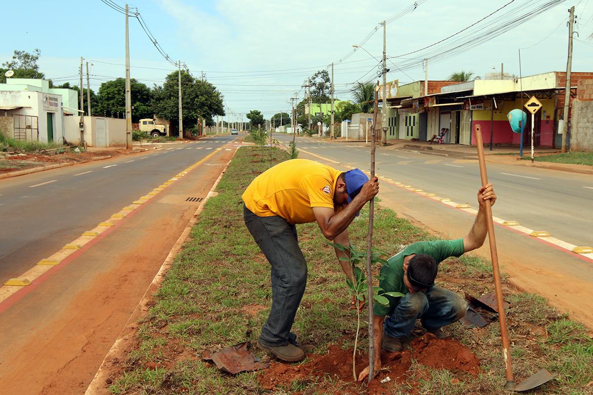 Avenida Milton Damasceno recebe plantio de árvores pelo Projeto “Áreas Mais Verdes”  Avenida Milton Damasceno recebe plantio de árvores pelo Projeto “Áreas Mais Verdes”