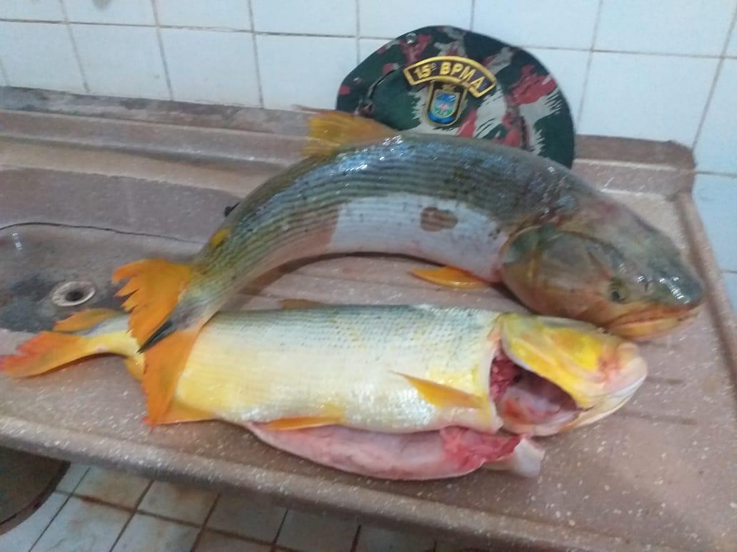 PMA prende e autua campo-grandense  e transporte de rifle e munições ilegais