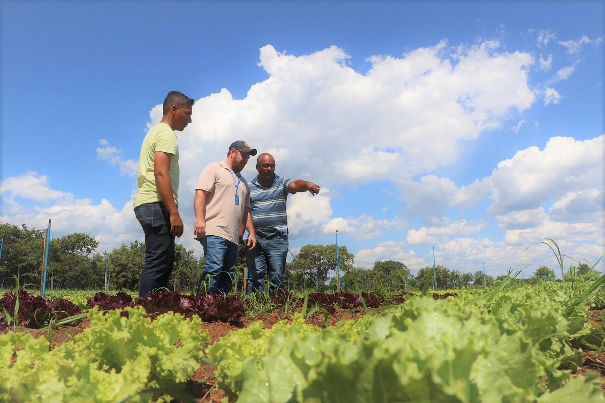 Prefeitura cria Fundo Municipal de Desenvolvimento Agrário em Três Lagoas