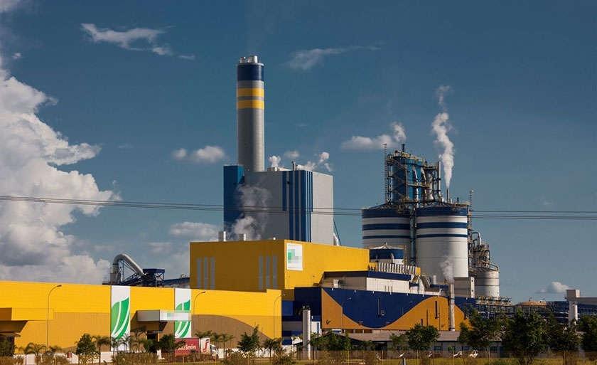 Unidade da Suzano em Três Lagoas (MS) completa 10 anos com recordes em produção e investimento social
