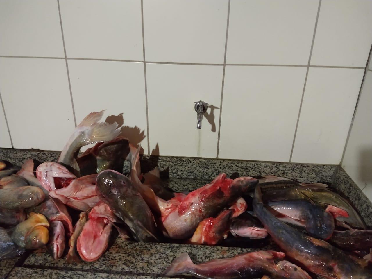 Polícia Militar Ambiental autua 29, prende 18 por pesca predatória, aplica R$ 80 mil em multas Polícia Militar Ambiental autua 29, prende 18 por pesca predatória, aplica R$ 80 mil em multas