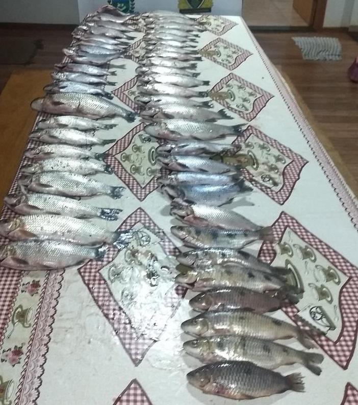 Polícia Militar Ambiental autua 29, prende 18 por pesca predatória, aplica R$ 80 mil em multas Polícia Militar Ambiental autua 29, prende 18 por pesca predatória, aplica R$ 80 mil em multas