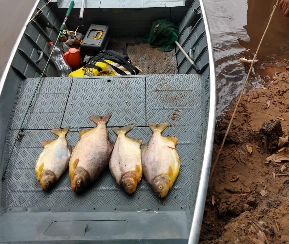 Polícia Militar Ambiental autua 29, prende 18 por pesca predatória, aplica R$ 80 mil em multas Polícia Militar Ambiental autua 29, prende 18 por pesca predatória, aplica R$ 80 mil em multas