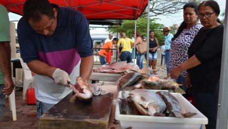 Prefeitura de Três Lagoas realiza 6ª Feira do Peixe Prefeitura de Três Lagoas realiza 6ª Feira do Peixe