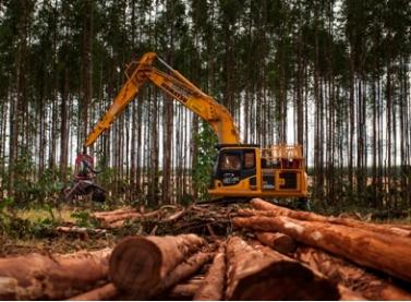 Suzano abre inscrições para curso de Operador de Máquinas Florestais em Água Clara (MS)