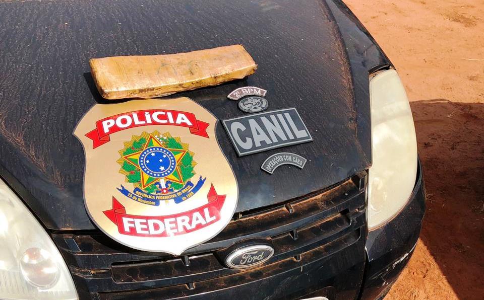 Polícia Militar apreende entorpecente durante treinamento do Canil da Força Tática em Três Lagoas Polícia Militar apreende entorpecente durante treinamento do Canil da Força Tática em Três Lagoas