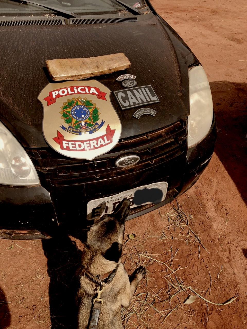 Polícia Militar apreende entorpecente durante treinamento do Canil da Força Tática em Três Lagoas