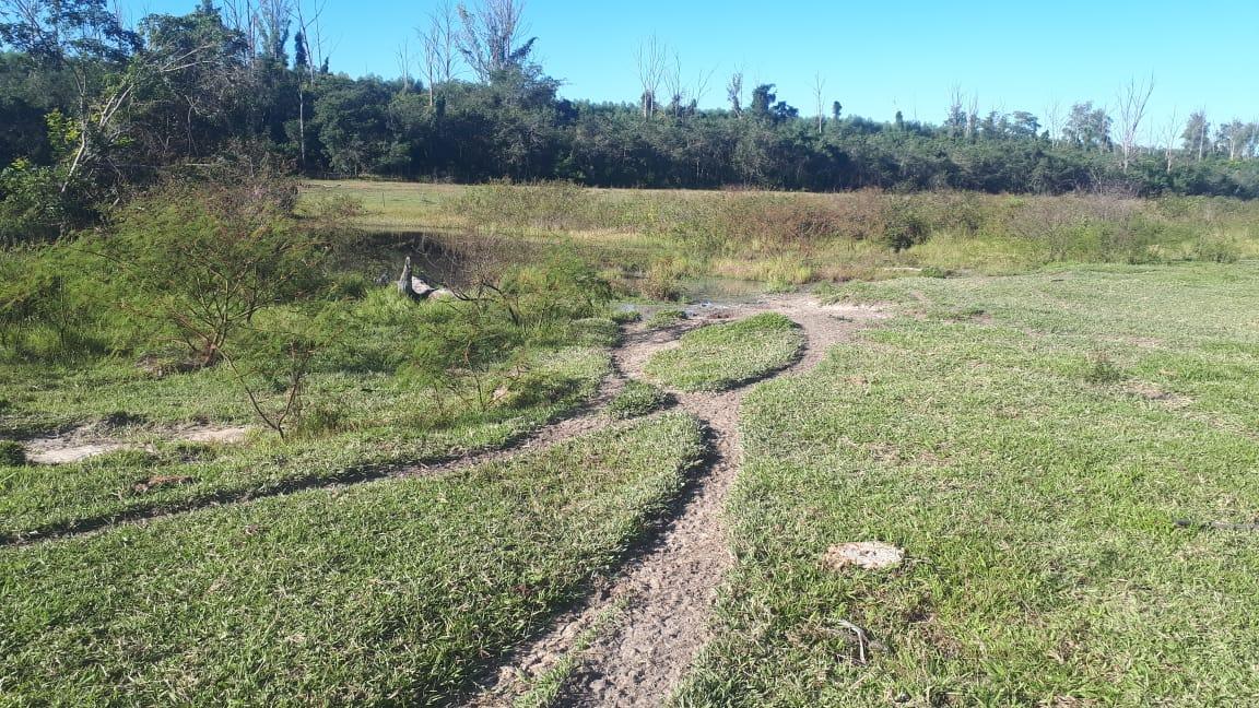 PMA de Três Lagoas autua infratora em R$ 23 mil por degradar nascentes e áreas protegidas de matas ciliares de córrego
