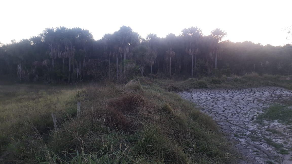 PMA de Três Lagoas autua dono de mineradora de areia em R$ 5 mil por degradação de área protegida