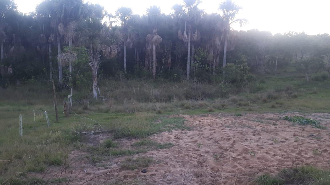PMA de Três Lagoas autua dono de mineradora de areia em R$ 5 mil por degradação de área protegida PMA de Três Lagoas autua dono de mineradora de areia em R$ 5 mil por degradação de área protegida