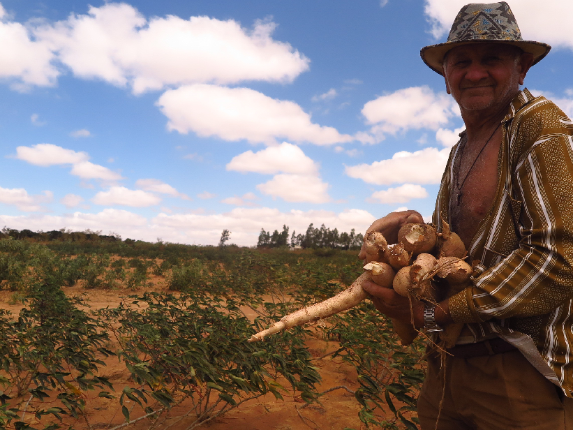 Do “Dia da Mandioca” ao “Dia do Youtuber”: os projetos de políticos cearenses nos últimos seis meses Do “Dia da Mandioca” ao “Dia do Youtuber”: os projetos de políticos cearenses nos últimos seis meses