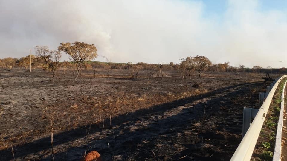 Brasilândia:Incêndio na RPPN Cisalpina, da Cesp, queimou a equivalente 2,2 mil campos de futebol 