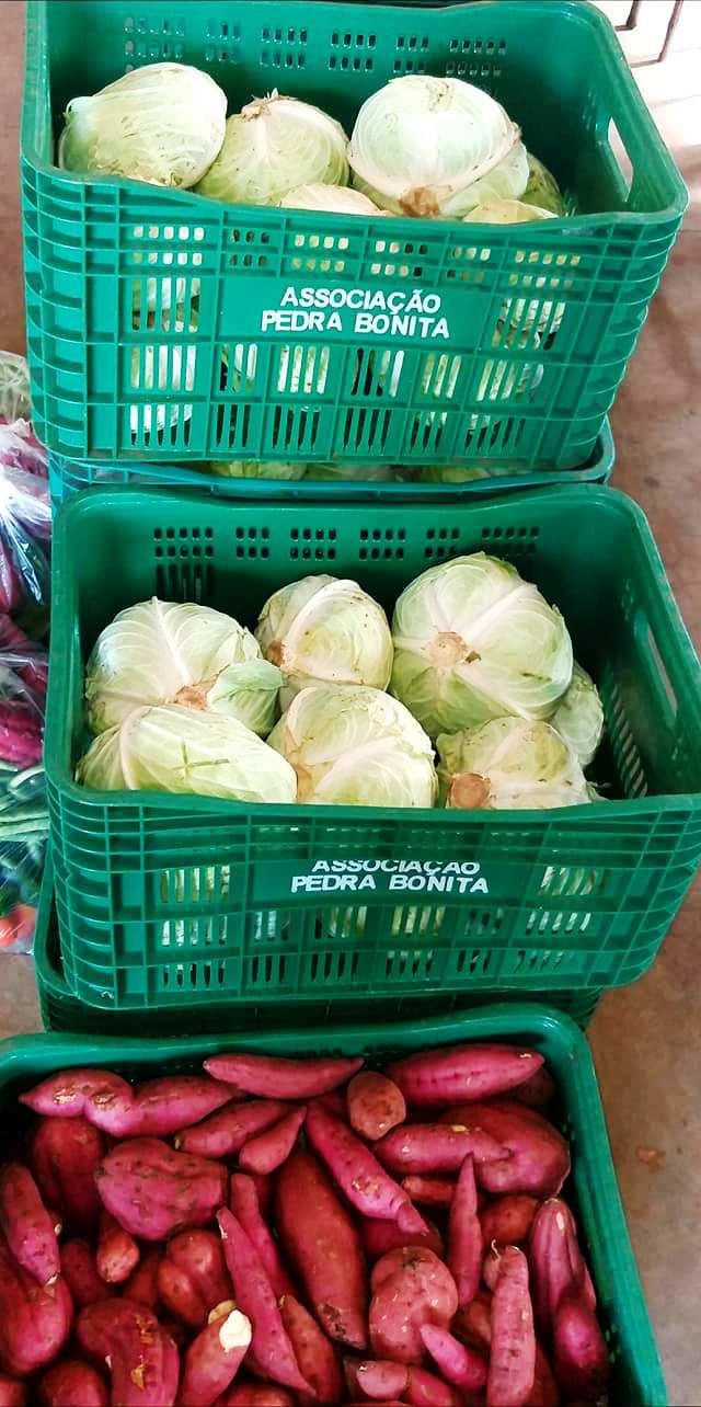 Novas famílias são inseridas no Programa Protege Brasilândia Hortifruti