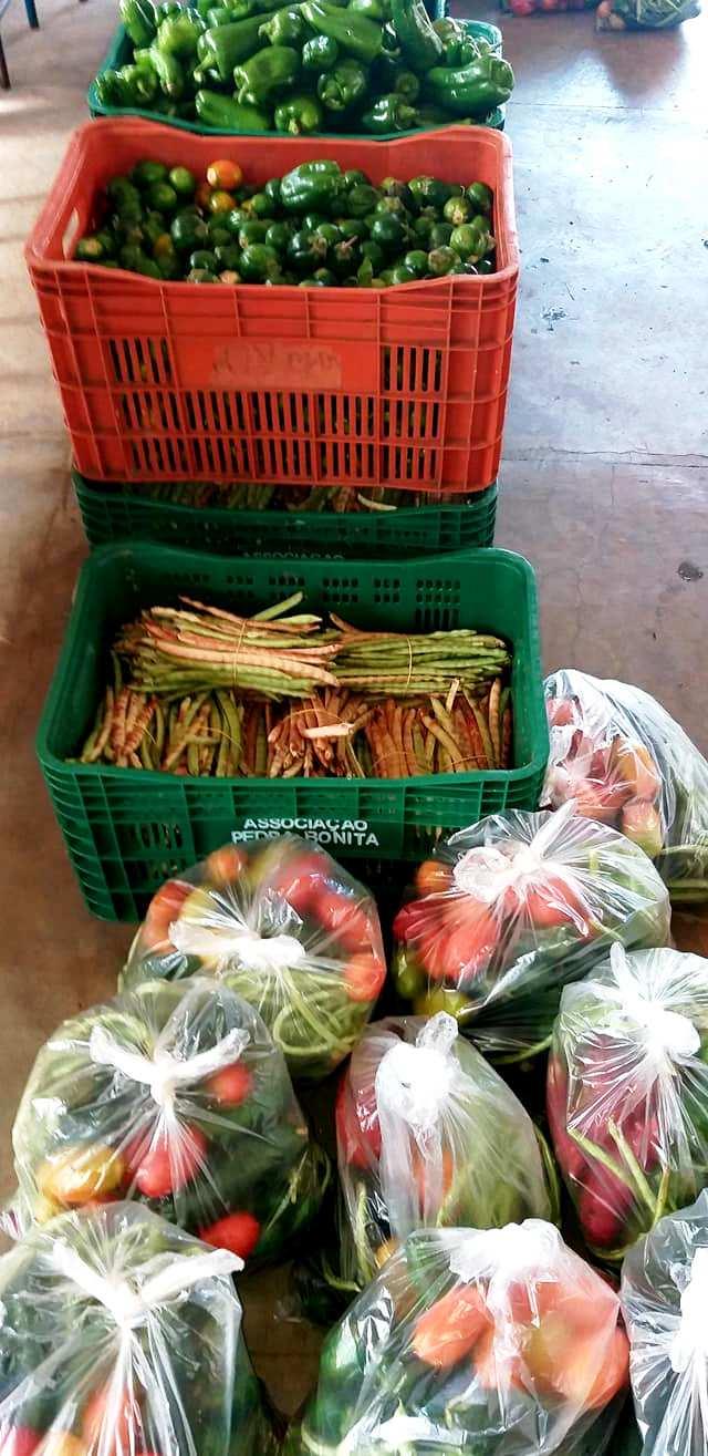 Novas famílias são inseridas no Programa Protege Brasilândia Hortifruti