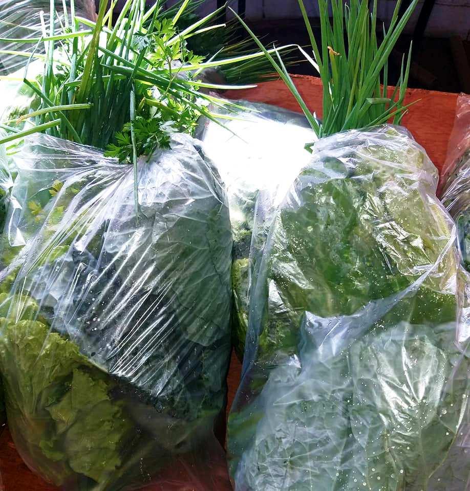 Novas famílias são inseridas no Programa Protege Brasilândia Hortifruti
