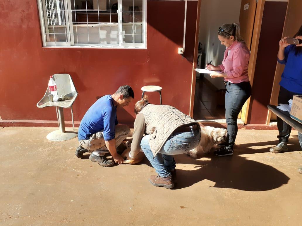 Multivacinação na Zona Rural está hoje (30) na Fazenda Santa Maria e amanhã (31) na região do Batuíra