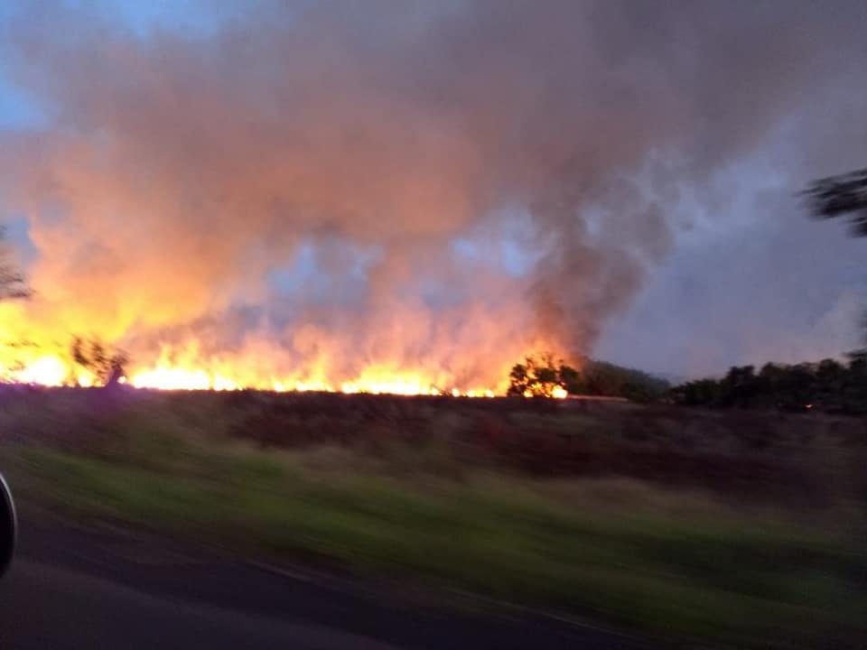 Brasilândia:Incêndio na RPPN Cisalpina, da Cesp, queimou a equivalente 2,2 mil campos de futebol 