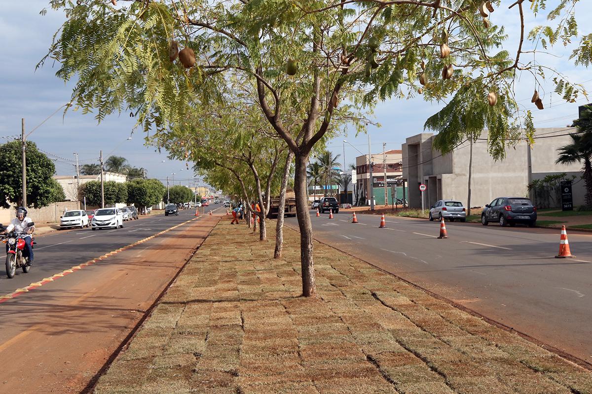 CIDADE EM OBRAS: canteiro central da Avenida Olyntho Mancini recebe revitalização