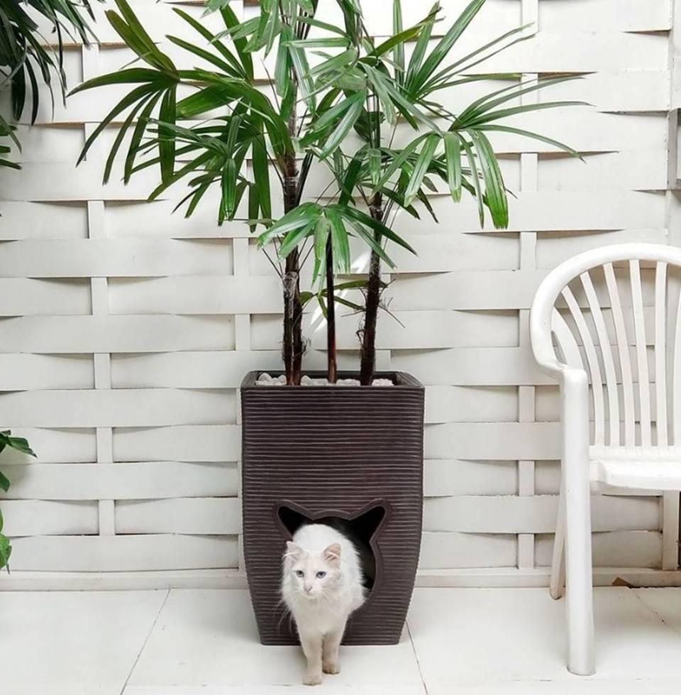 Papo animal: confira 8 produtos curiosos para a diversão dos pets