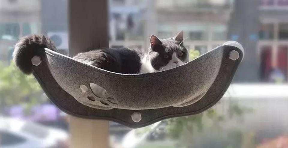 Papo animal: confira 8 produtos curiosos para a diversão dos pets