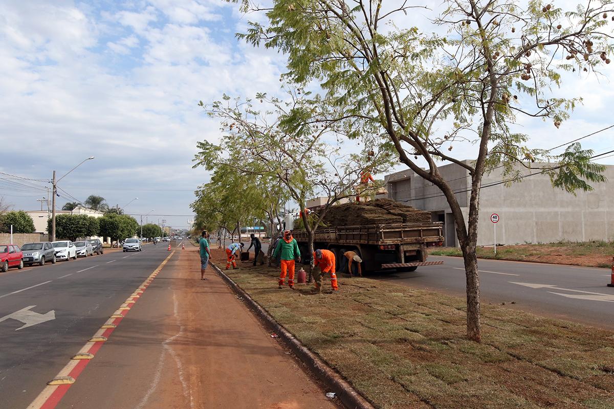 CIDADE EM OBRAS: canteiro central da Avenida Olyntho Mancini recebe revitalização CIDADE EM OBRAS: canteiro central da Avenida Olyntho Mancini recebe revitalização