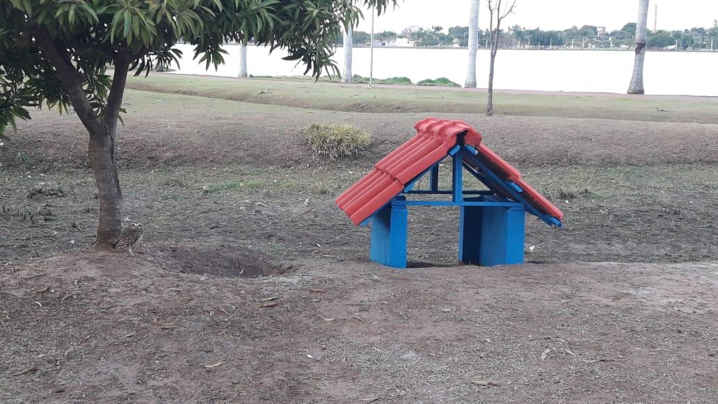 Para proteger ninhos e evitar acidentes, Meio Ambiente instala casinhas para corujas na Lagoa Maior Para proteger ninhos e evitar acidentes, Meio Ambiente instala casinhas para corujas na Lagoa Maior