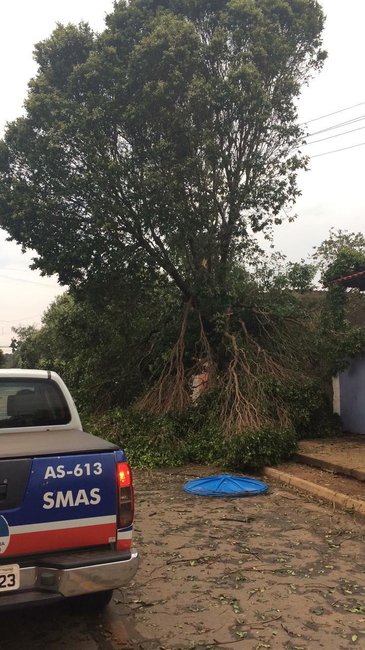 Equipes da infraestrutura, meio ambiente, assistência e defesa civil da Prefeitura de Três Lagoas prestam atendimento à população afetada pela chuva
