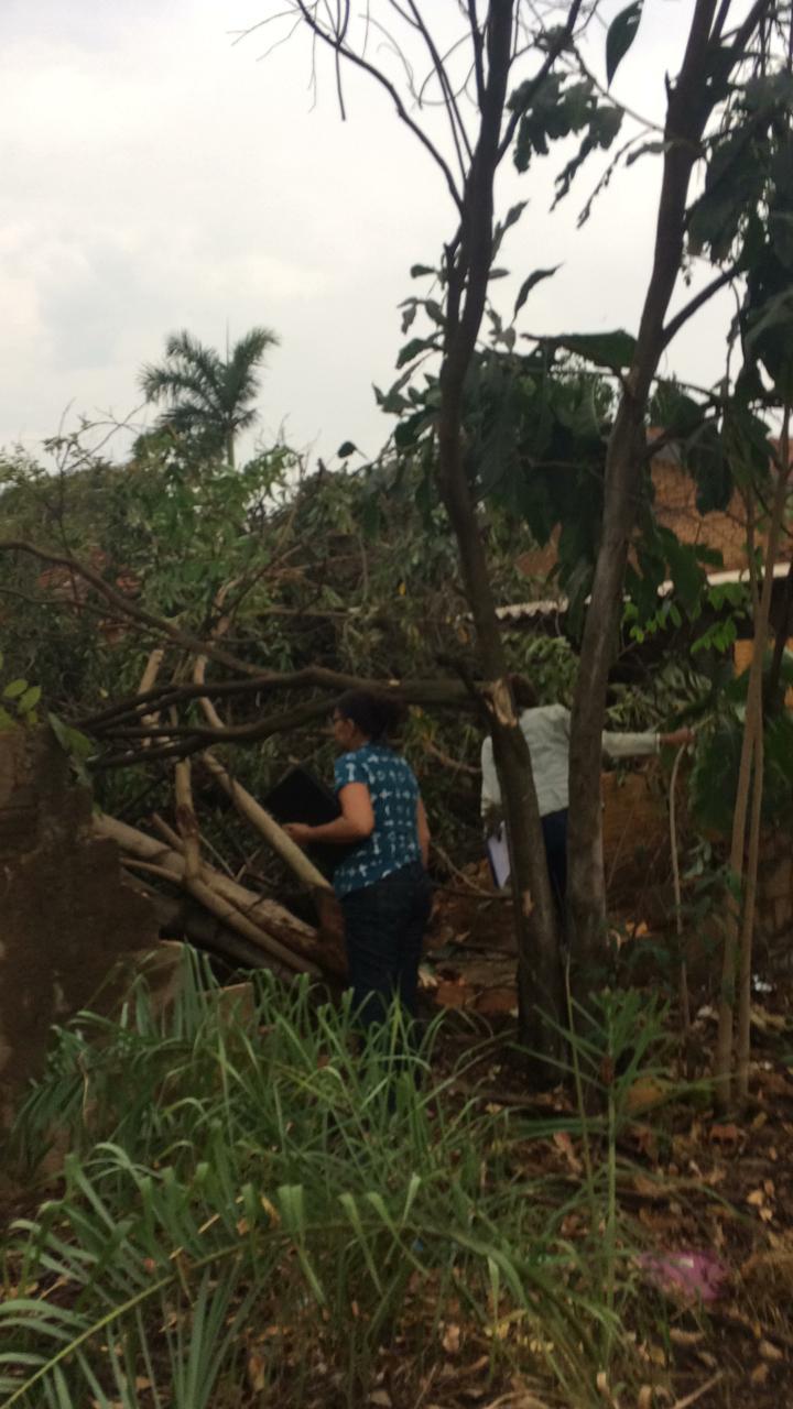 Equipes da infraestrutura, meio ambiente, assistência e defesa civil da Prefeitura de Três Lagoas prestam atendimento à população afetada pela chuva