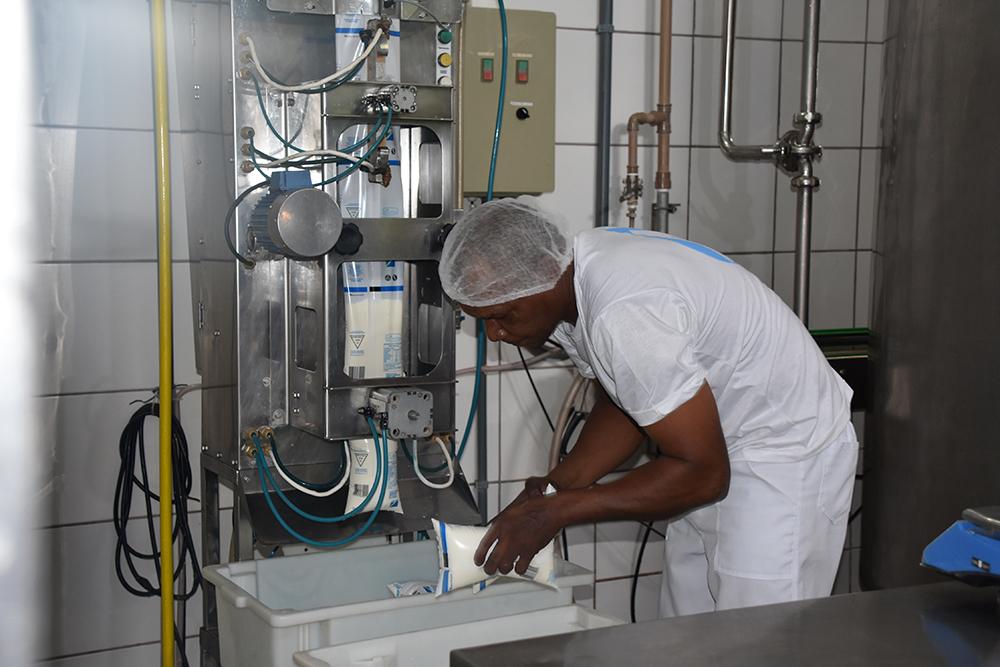 Indústria laticínia de MS segura preço e leite segue sem aumento em plena entressafra Indústria laticínia de MS segura preço e leite segue sem aumento em plena entressafra