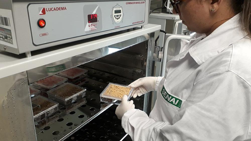 Ministério credencia laboratório de análise de sementes do Instituto Senai de Tecnologia em Alimentos e Bebidas
