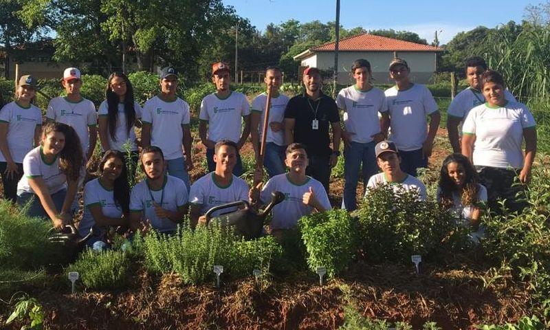 Cursos do IFMS em Nova Andradina vão da Agropecuária à Informática Cursos do IFMS em Nova Andradina vão da Agropecuária à Informática