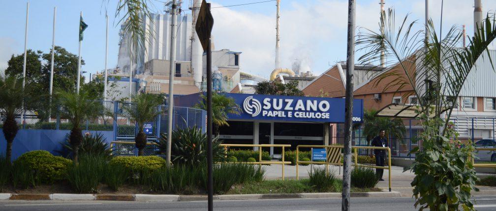 Programa de Estágio da Suzano, com inscrições abertas até 6 de outubro, já tem mais de 7.500 candidatos