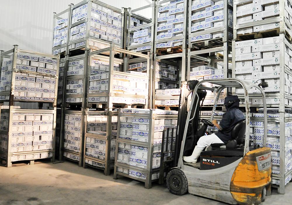 Índice Geral de Desempenho Industrial de MS completa 16 meses acima dos 50 pontos