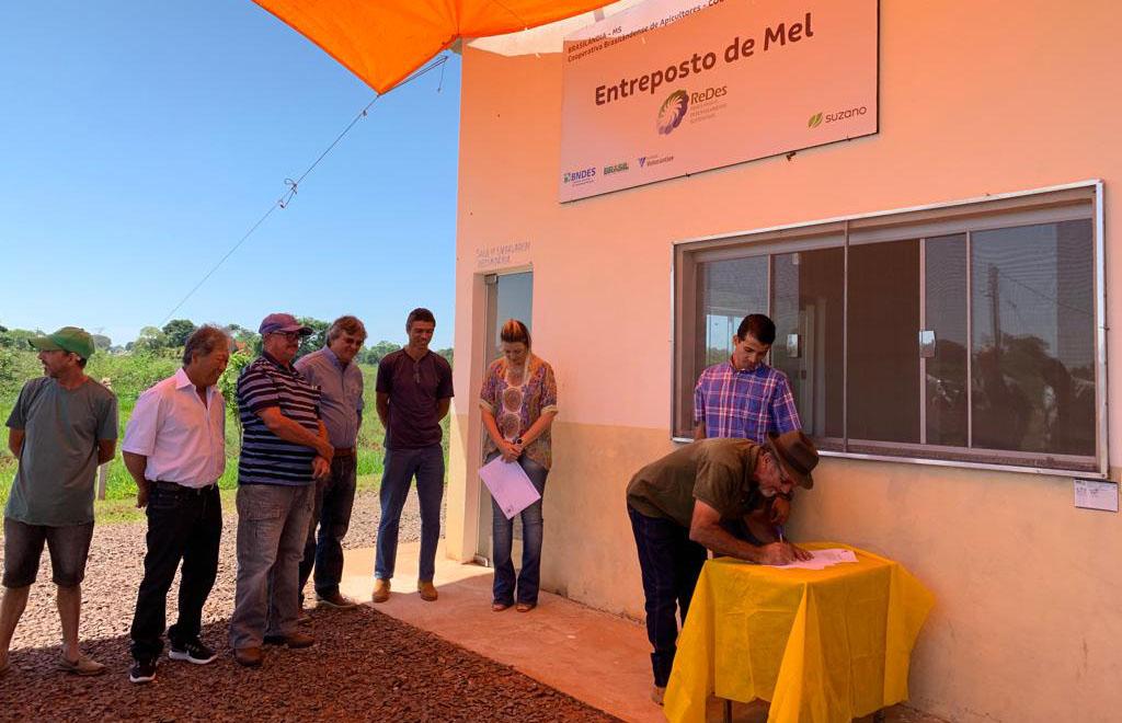 Entreposto de Mel em Brasilândia (MS) conquista certificação e amplia a comercialização