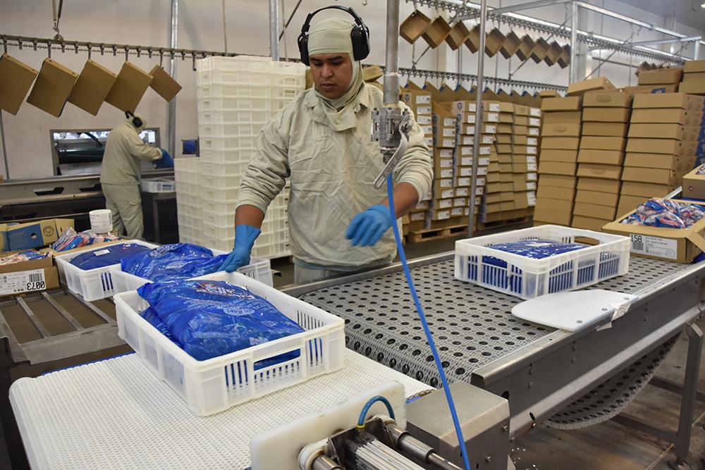 Índice Geral de Desempenho Industrial de MS completa 17 meses acima dos 50 pontos Índice Geral de Desempenho Industrial de MS completa 17 meses acima dos 50 pontos