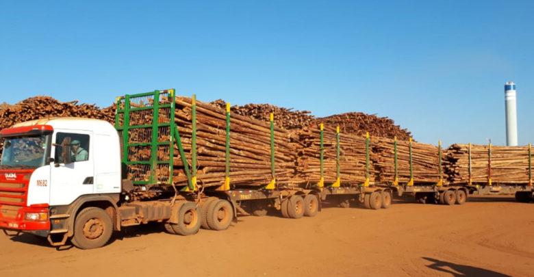 Suzano inova e cria modelo inédito de descarregamento de madeira em Mato Grosso do Sul