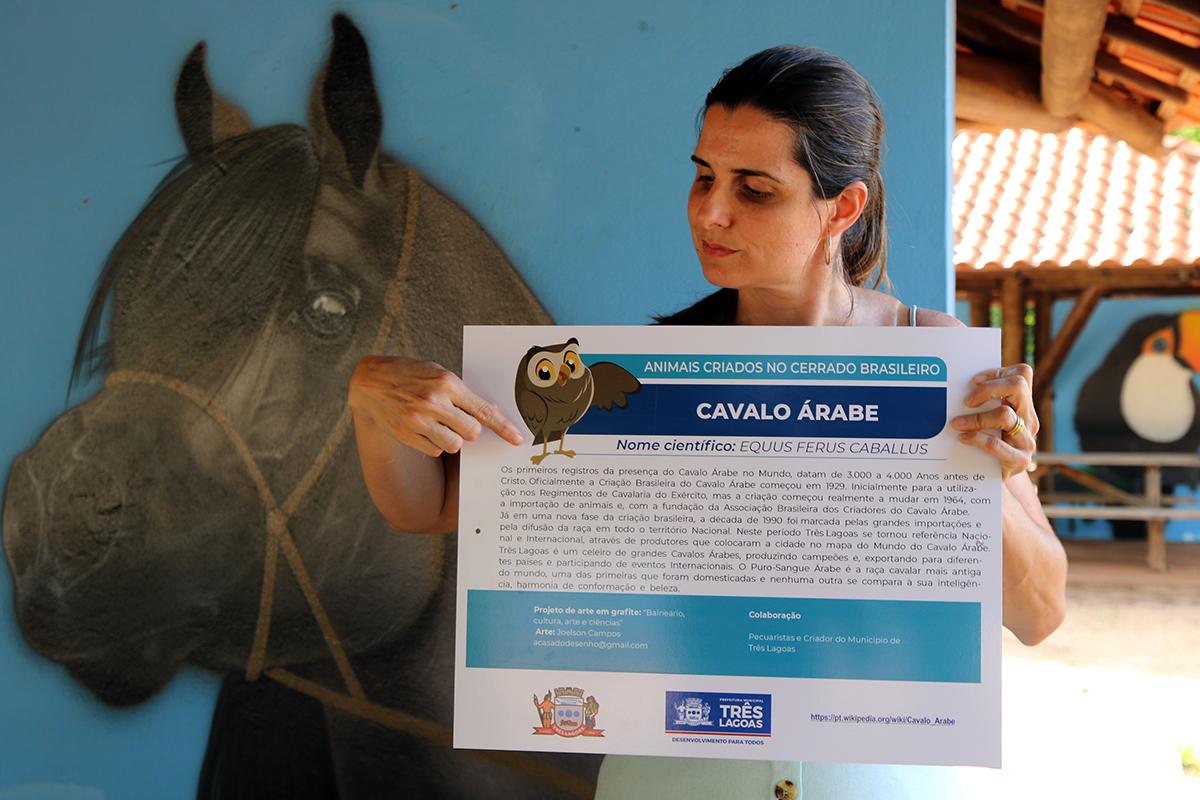 BALNEÁRIO - Desenho de animais grafitados em quiosques ganham placas de identificação BALNEÁRIO - Desenho de animais grafitados em quiosques ganham placas de identificação