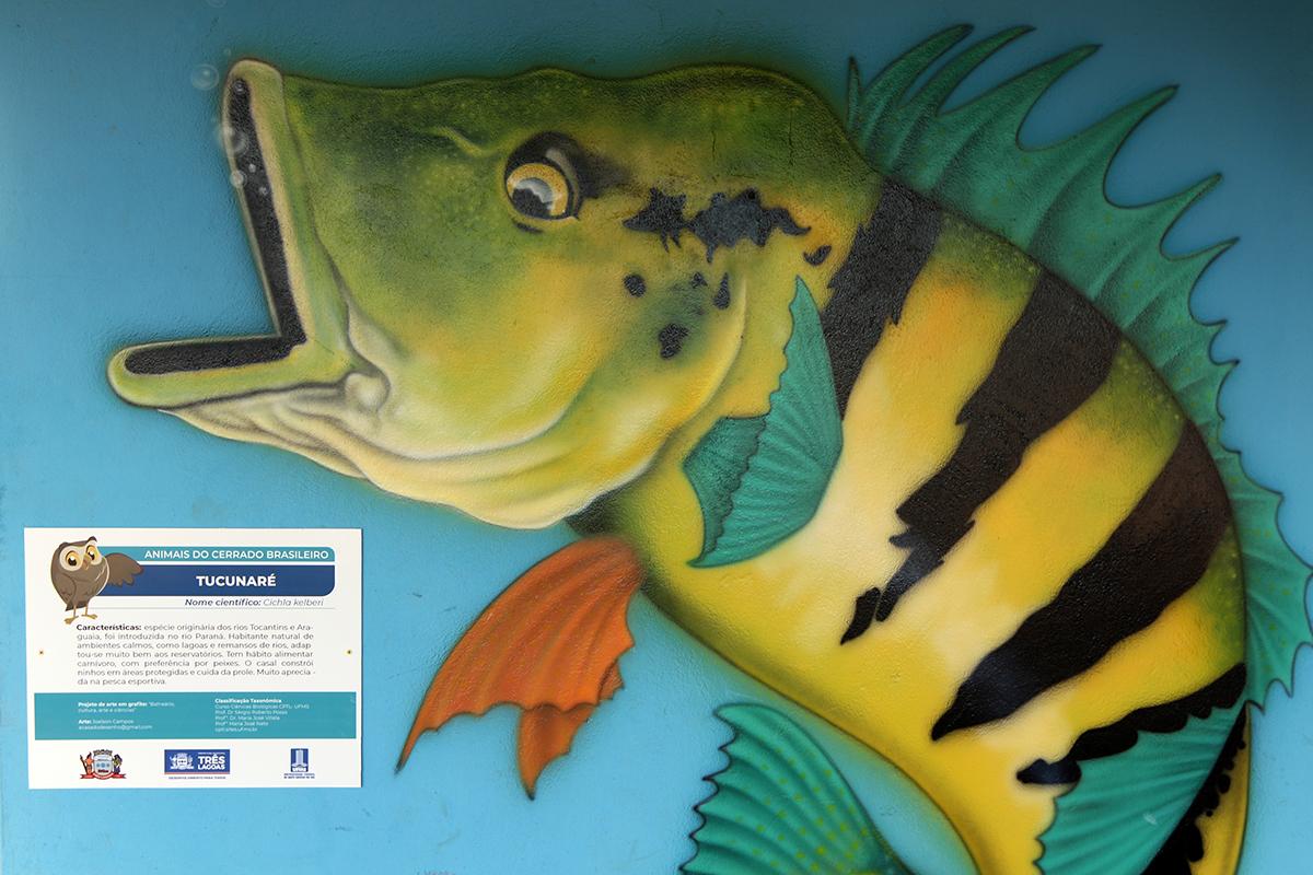 BALNEÁRIO - Desenho de animais grafitados em quiosques ganham placas de identificação BALNEÁRIO - Desenho de animais grafitados em quiosques ganham placas de identificação