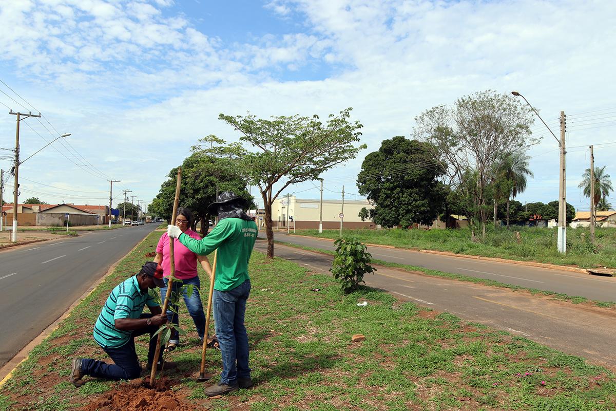 Meio Ambiente realiza replantio de árvores na área central de Três Lagoas