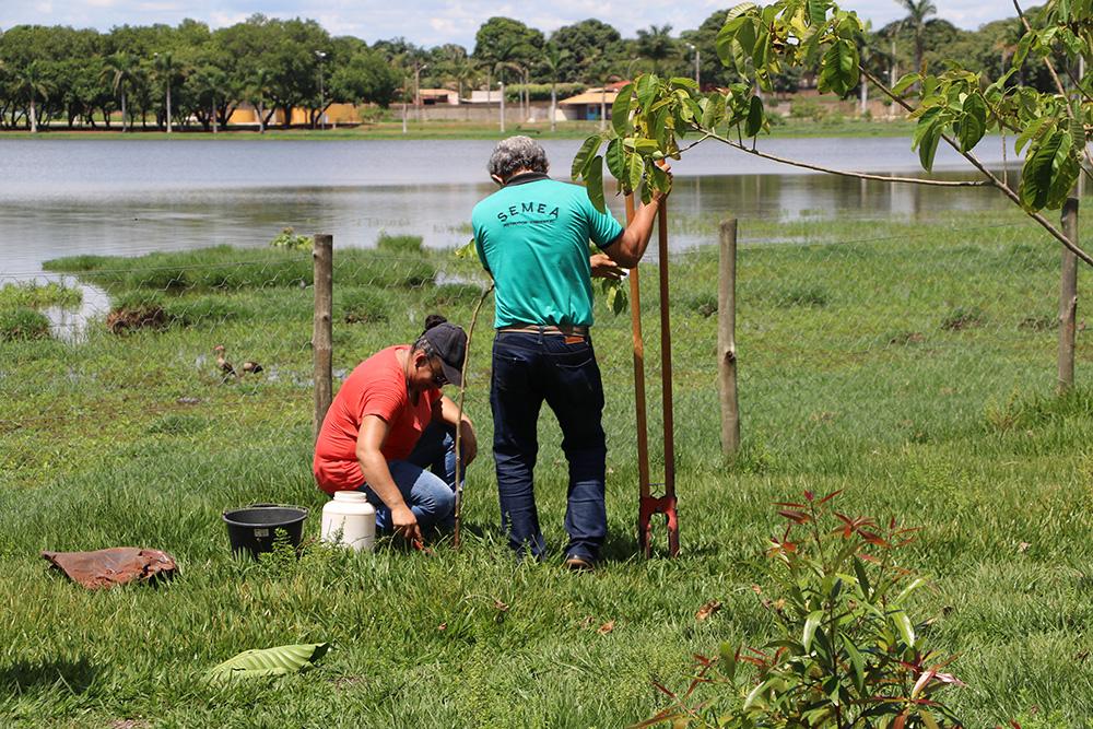 SEMEA realiza plantio de árvores frutíferas na Lagoa Maior SEMEA realiza plantio de árvores frutíferas na Lagoa Maior
