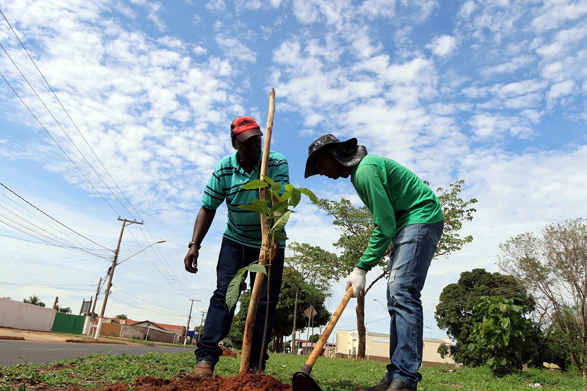 Meio Ambiente realiza replantio de árvores na área central de Três Lagoas Meio Ambiente realiza replantio de árvores na área central de Três Lagoas