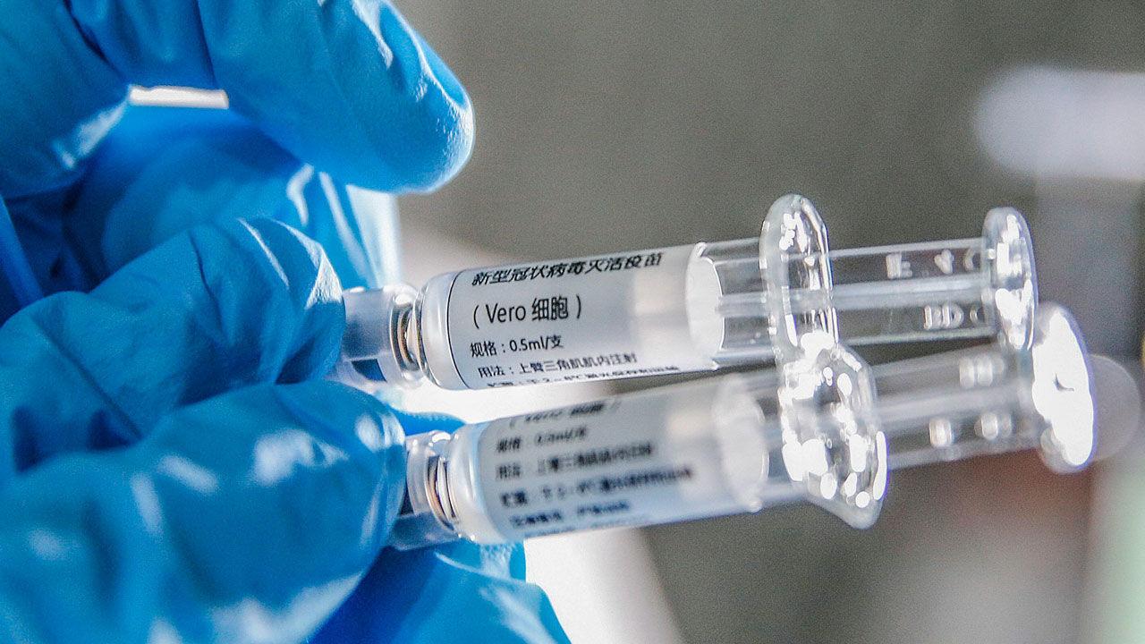 Marcos Antonio Grecco mostra nova Vacina de Coronavirus que protege macacos Marcos Antonio Grecco mostra nova Vacina de Coronavirus que protege macacos