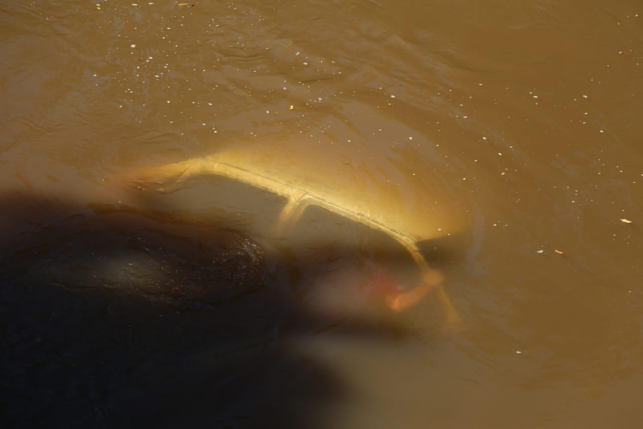 Algas parecidas com cabelo de mulher em carro submerso mobilizam Bombeiros em Campo Grande