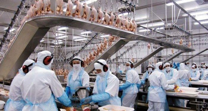 Covid-19: Indústrias frigoríficas precisam adotar medidas de proteção à saúde dos trabalhadores, recomenda MPT-MS