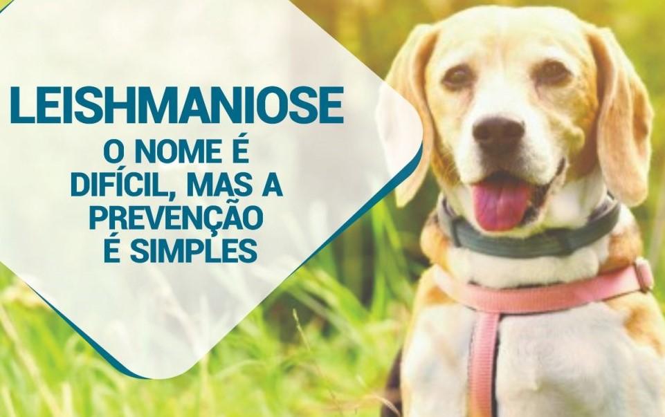Saúde de Brasilândia realiza ações de combate à Leishmaniose Saúde de Brasilândia realiza ações de combate à Leishmaniose